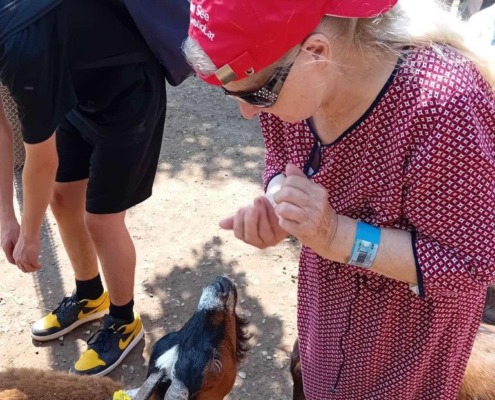 Pflege Liesing Bewohner*innen beim Besuch im Tiergarten Schönbrunn