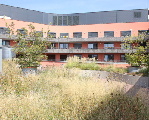 Pflege Meidling