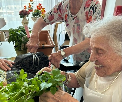 Pflege Innerfavoriten, Bewohnerinnen mit Pflanzen
