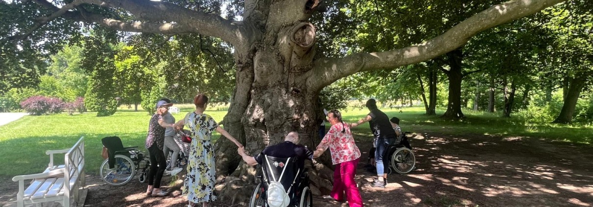 Pflege Innerfavoriten Gruppe im Schlosspark
