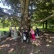 Pflege Innerfavoriten Gruppe im Schlosspark