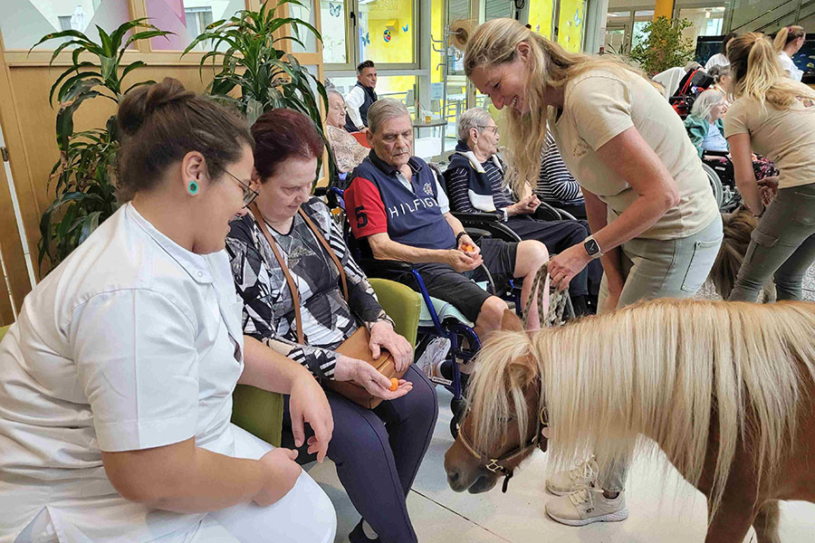 Bewohnerin füttert ein Pony am Ponyfest in der Pflege Floridsdorf