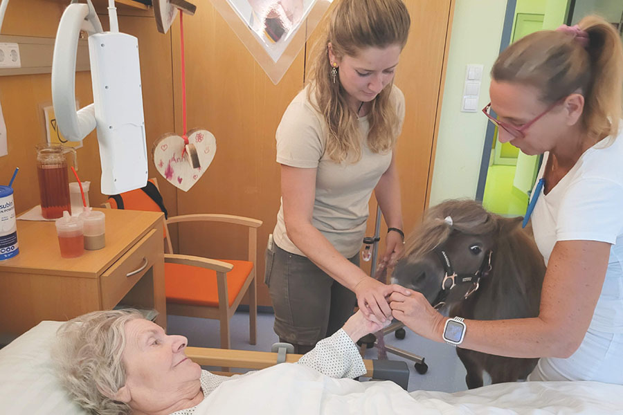 Bewohnerin füttert ein Pony am Ponyfest in der Pflege Floridsdorf