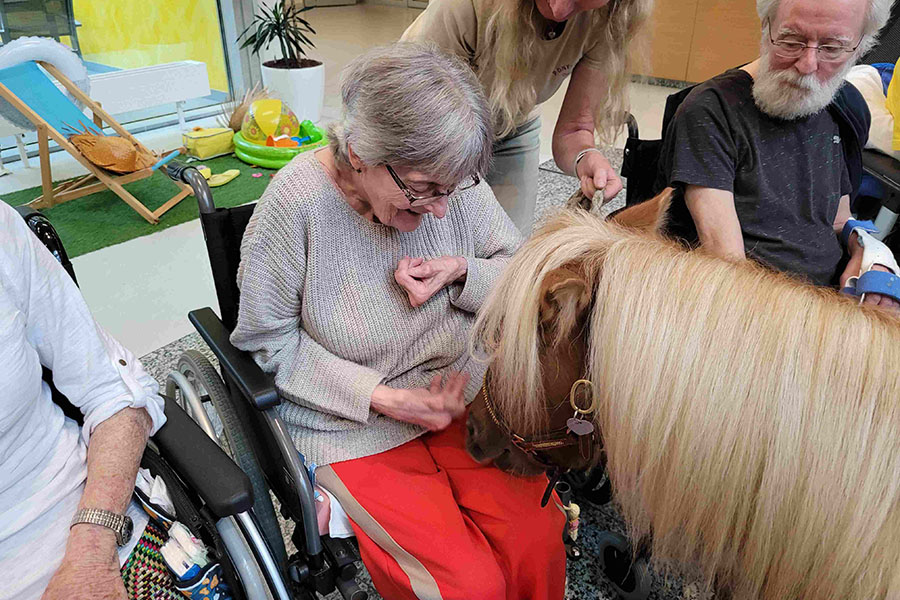Bewohnerin füttert ein Pony am Ponyfest in der Pflege Floridsdorf