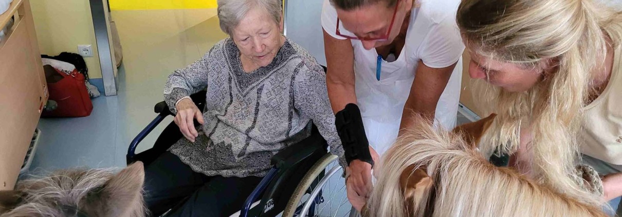 Bewohnerin füttert ein Pony am Ponyfest in der Pflege Floridsdorf