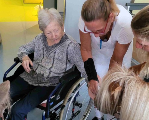 Bewohnerin füttert ein Pony am Ponyfest in der Pflege Floridsdorf