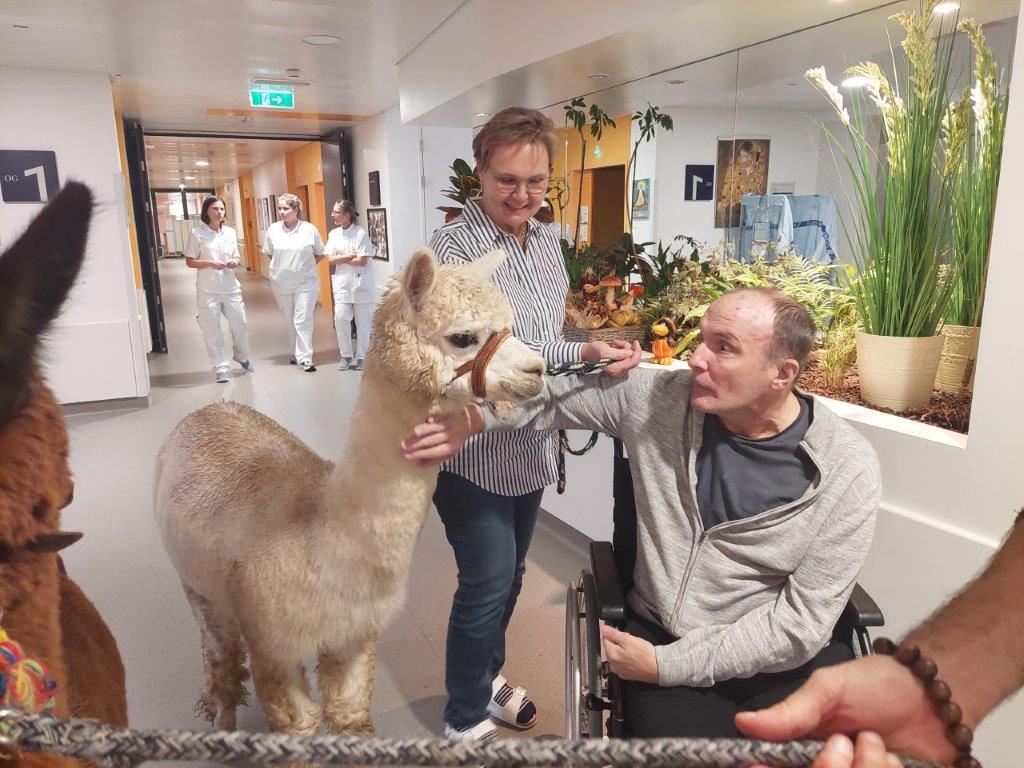 Pflege Innerfavoriten, Bewohner streichelt Alpaka