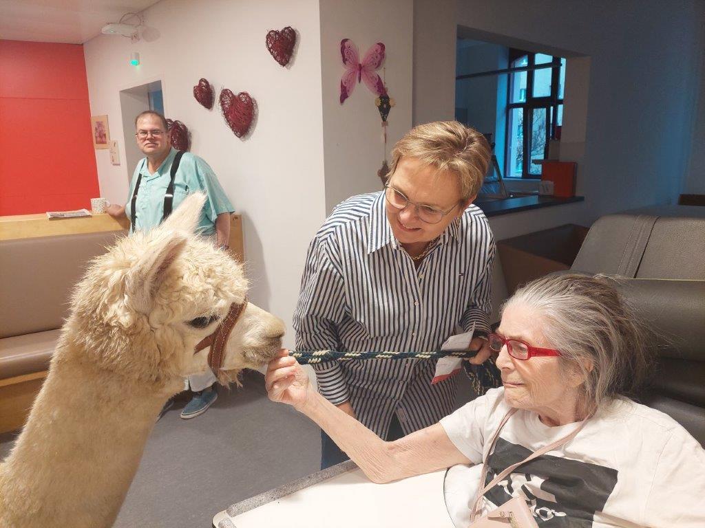 Pflege Innerfavoriten, Bewohnerin streichelt Alpaka