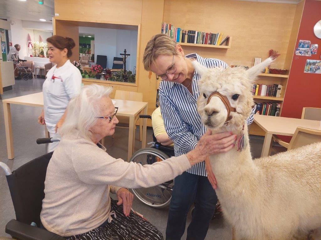 Pflege Innerfavoriten, Bewohnerin streichelt Alpaka