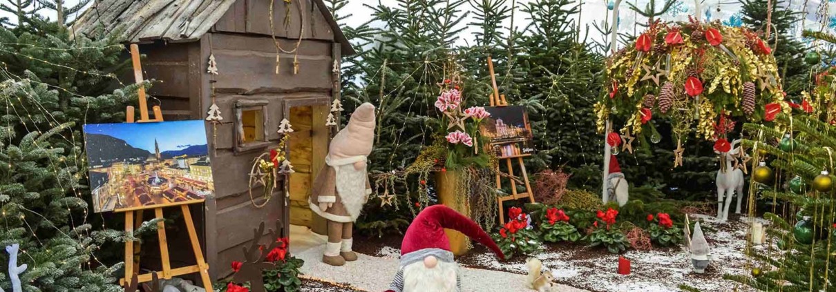 Weihnachtausstellung der Wiener Stadtgärten