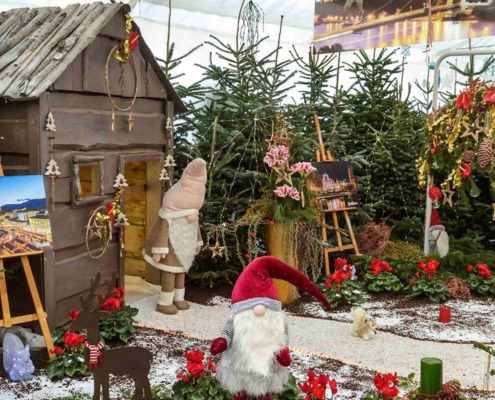 Weihnachtausstellung der Wiener Stadtgärten