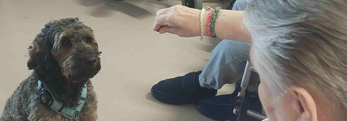 Bewohnerin füttert Therapiehund Bruno mit einem Leckerli