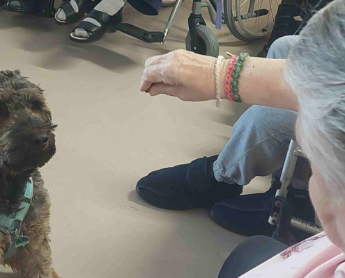 Bewohnerin füttert Therapiehund Bruno mit einem Leckerli