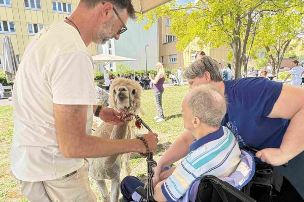 Pflege Donaustadt, Alpakas zu Besuch